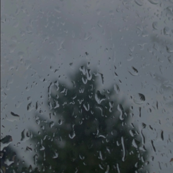 Meet your Posher, Sirine - Picture 1 of 1